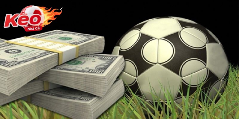 Đôi nét nổi bật về dịch vụ mà nhà cái mang lại cho bạn